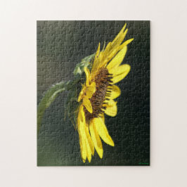 F43イエローワイルドフラワーブラックアイドスーザン ジグソーパズル