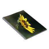 F43イエローワイルドフラワーブラックアイドスーザン ノートブック (右側)