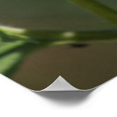 F43イエローワイルドフラワーブラックアイドスーザン ポスター (角)