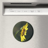 F43イエローワイルドフラワーブラックアイドスーザン マグネット (インサイチュ (食洗機))