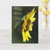 F43黄山花黒目スーザン カード (黄色い花)