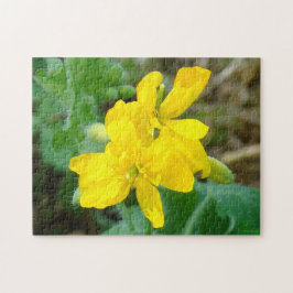 F44イエローワイルドフラワーワイルドマスタード ジグソーパズル