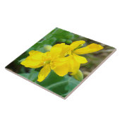 F44イエローワイルドフラワーワイルドマスタード タイル (側面)