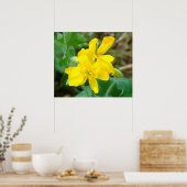 F44イエローワイルドフラワーワイルドマスタード ポスター (キッチン)