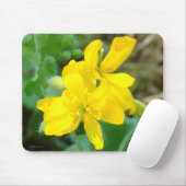 F44イエローワイルドフラワーワイルドマスタード マウスパッド (マウス)