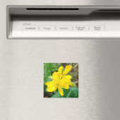 F44イエローワイルドフラワーワイルドマスタード マグネット (インサイチュ (食洗機))