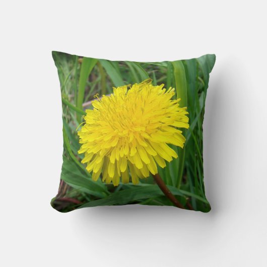 F45タンポポ「Taraxacum officinale」 クッション (正面)