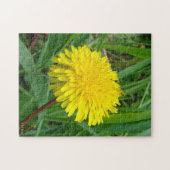 F45タンポポ「Taraxacum officinale」 ジグソーパズル (横)