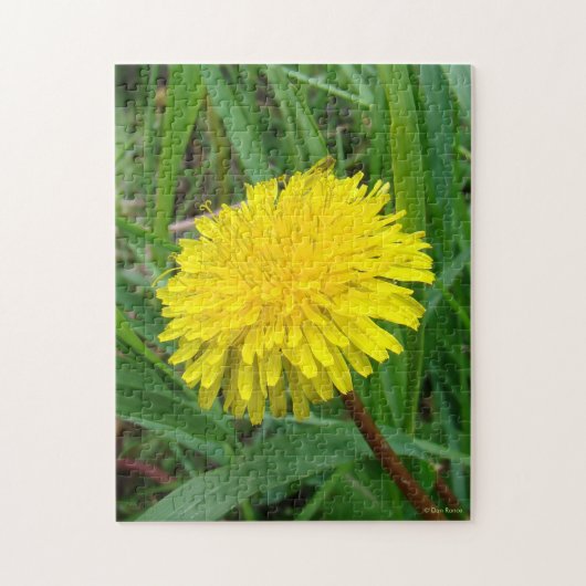 F45タンポポ「Taraxacum officinale」 ジグソーパズル (縦)