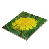 F45タンポポ「Taraxacum officinale」 タイル (側面)