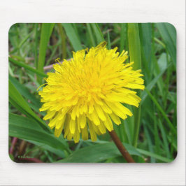 F45タンポポ「Taraxacum Officinale」 マウスパッド