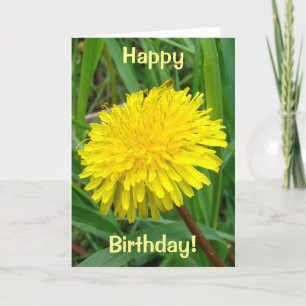 F45 タンポポ "Taraxacum officinale" カード