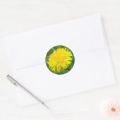 F45 タンポポ "Taraxacum officinale" ラウンドシール (封筒)