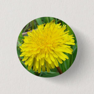 F45 タンポポ "Taraxacum officinale" 缶バッジ