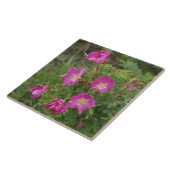 F46ワイルドバラ タイル (側面)