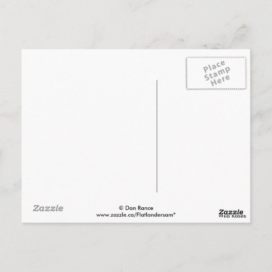 F46ワイルドバラ ポストカード (裏面)