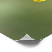 F47黄色の野草一般的な年間ひまわり ポスター (角)