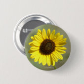 F47黄色の野草一般的な年間ひまわり 缶バッジ (正面&裏面)