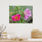 F4 Alberta Wild Roses ポスター (キッチン)