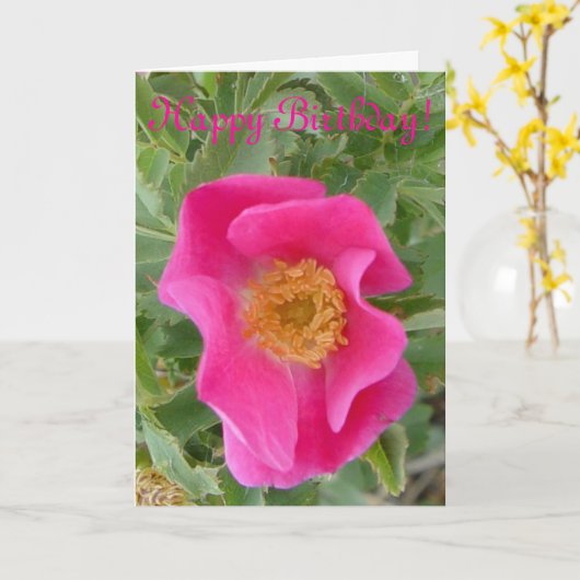 F4aワイルドバラ カード (黄色い花)