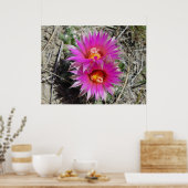 F5ボールサボテン花「エスコバリア・ヴィヴィパラ」 ポスター (キッチン)