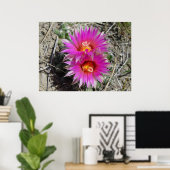 F5ボールサボテン花「エスコバリア・ヴィヴィパラ」 ポスター (ホームオフィス)