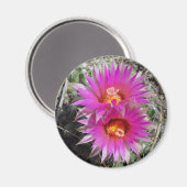 F5ボールサボテン花「Escobaria vivipara」 マグネット (正面/裏面)