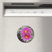 F5ボールサボテン花「Escobaria vivipara」 マグネット (インサイチュ (食洗機))