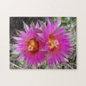 F5球のサボテンの花"Escobaria vivipara " ジグソーパズル (横)
