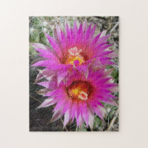 F5球のサボテンの花"Escobaria vivipara "