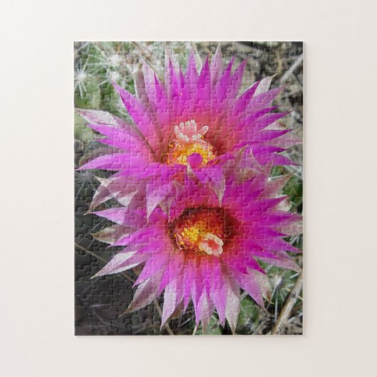 F5球のサボテンの花"Escobaria vivipara " ジグソーパズル (縦)