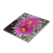 F5 ボールサボテンの花 "Escobaria vivipara" タイル (側面)