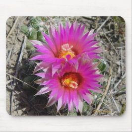 F5 ボールサボテンの花 "Escobaria vivipara" マウスパッド