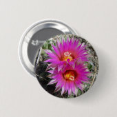 F5 ボールサボテンの花 "Escobaria vivipara" 缶バッジ (正面&裏面)