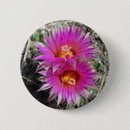 F5 ボールサボテンの花 "Escobaria vivipara" 缶バッジ