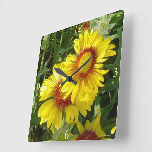 F6イエローワイルドフラワーズガイラディア スクエア壁時計 (傾斜)