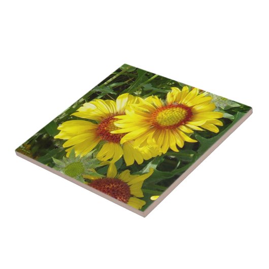 F6イエローワイルドフラワーズガイラディア タイル (側面)