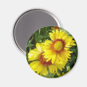 F6イエローワイルドフラワーズガイラディア マグネット (正面/裏面)