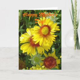 F6黄ワイルドフラワーガイラルディア カード