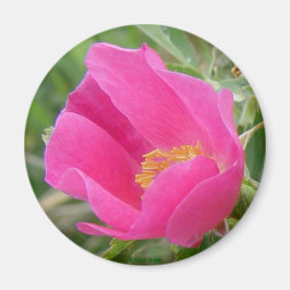 F7ワイルドバラ マグネット