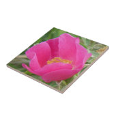 F7 ワイルドローズ タイル (側面)