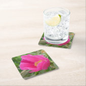 F7 Wild Rose Paper Coaster スクエアペーパーコースター (インサイチュ)