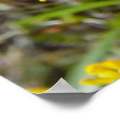 F8イエローワイルドフラワーガイラルディア ポスター (角)