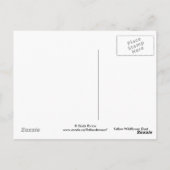 F8イエローワイルドフラワーガイラルディア ポストカード (裏面)