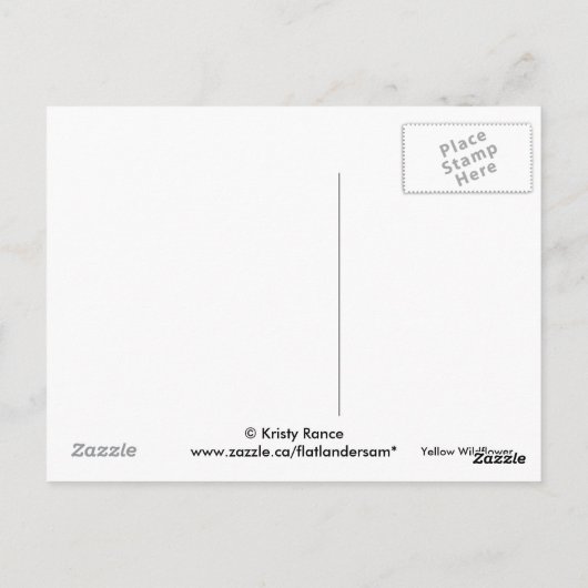F9黄色い山草のヤギひげ ポストカード (裏面)