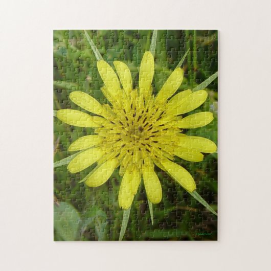 F9黄色のヤマトヒゲ ジグソーパズル (縦)