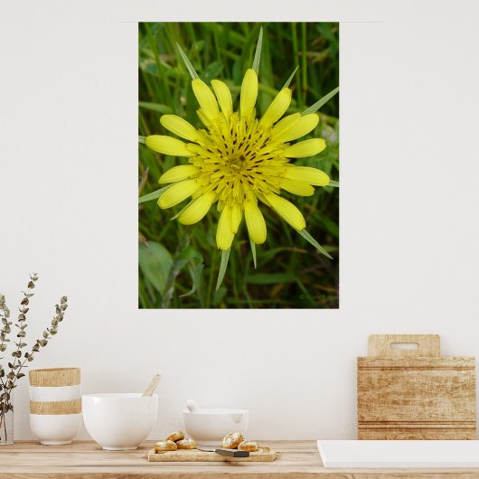 F9黄色ヤギの顎鬚 ポスター (キッチン)