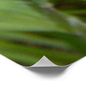 F9黄色ヤギの顎鬚 ポスター (角)