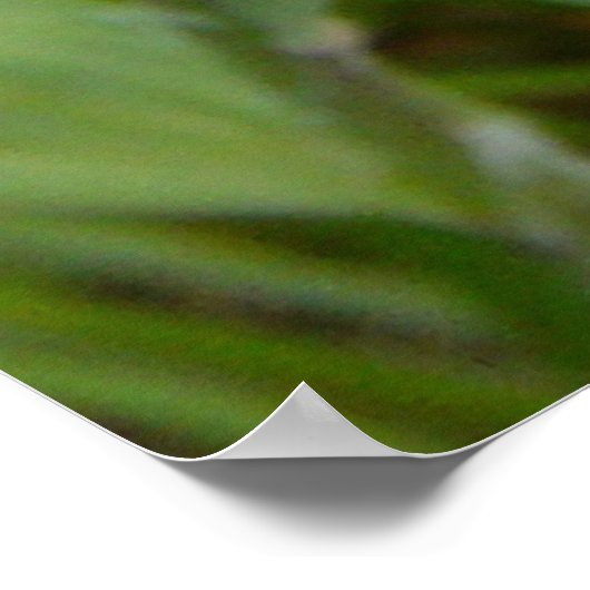 F9黄色ヤギの顎鬚 ポスター (角)