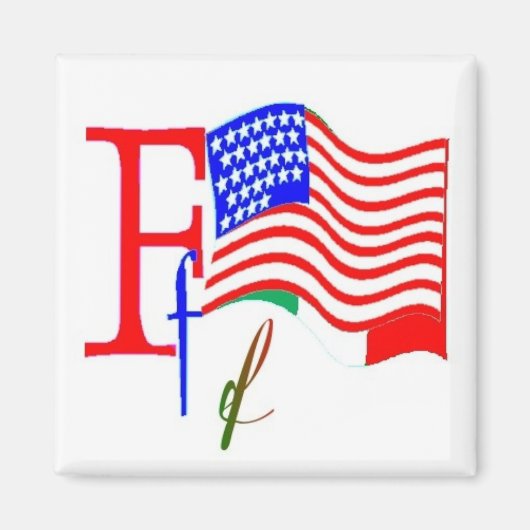 F – アルファベットマグネット マグネット (正面)